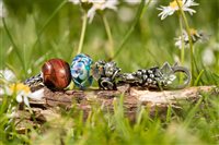 Charm Trollbeads Beads in Argent TAGBE-20250 - TAGBE-20250